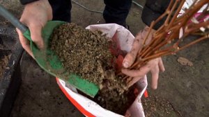 Как хранить виноград зимой? И не только виноград!