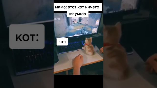 КИБЕРКОТ