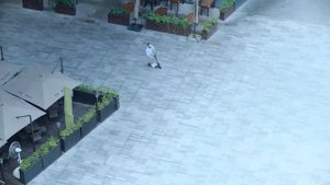 Globber Scooter One K E-Motion Black (497-210)