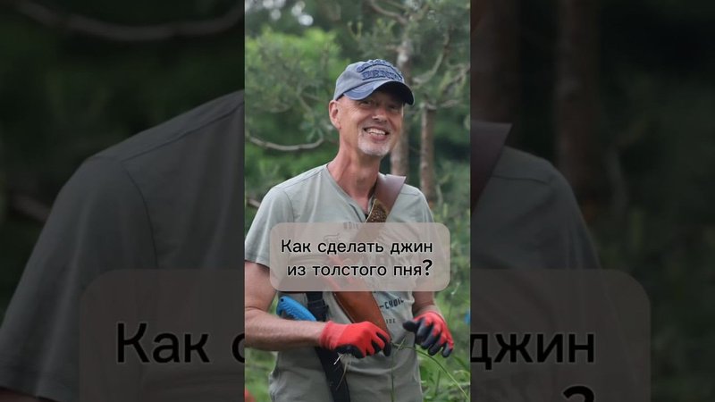 Как сделать джин из толстого пня.