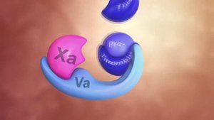 Коагуляционный каскад - Физиология гемостаза (анимация)