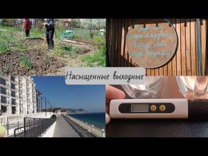 Проверили воду - пить нельзя // Нужна скважина // Приехала мама // Насыщенные выходные