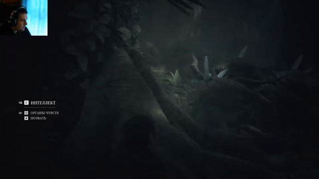 Ancestors - The Humankind Odyssey - Сложно быть макакой #1 смотреть онлайн