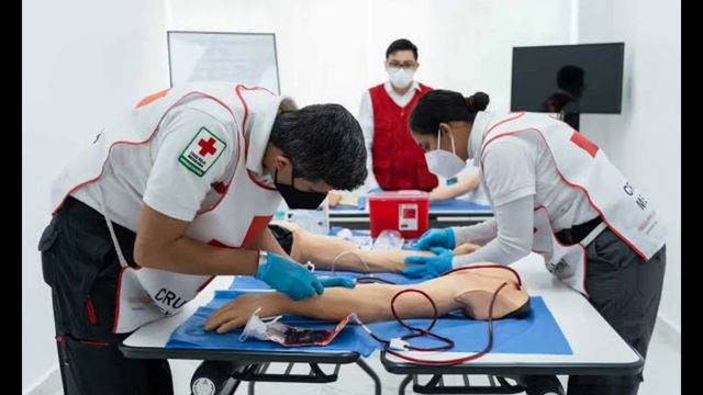 bioética y sus 4 principios смотреть онлайн