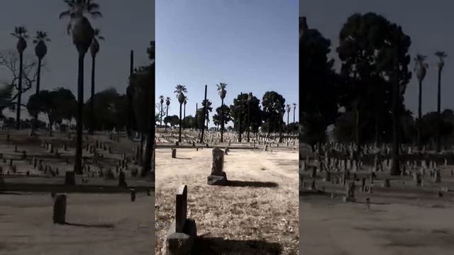 "Angelus Rosedale Cemetery" | Los Angeles, California | dEN