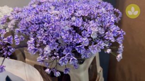 Mayesh Minute: Dutch Direct Flowers March 14