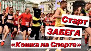 #забег #спортивныеигры
 Забег «Кошка на Спорте» / Старт