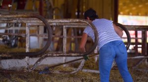 Фильм о нашем хозяйстве