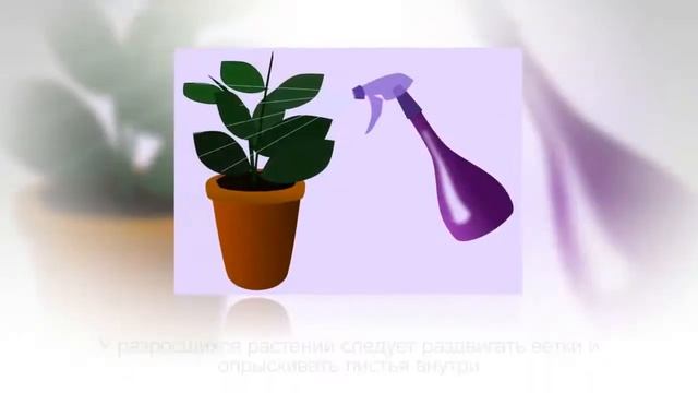 Лавровое дерево. (дома) смотреть онлайн