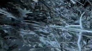 Skyrim скрытный сундук в данстаре + тайна рыночных прилавков