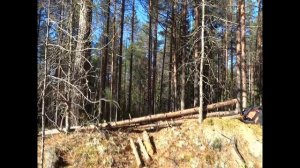 Пила Samurai Musha GKS 300 LH тесты и обзор