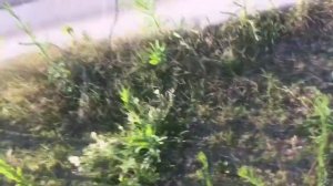 bop it! Destruction Test