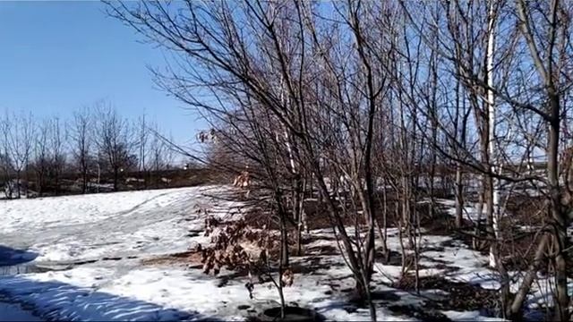 17 марта— День Герасима-грачевника.Приметы и поверья смотреть онлайн