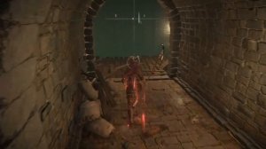 Elden Ring : Как Найти Талисман Дракона Святого Древа +1 | Гайд ?