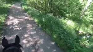 Реальная скорость (резвость) рыси  кавалерийской лошади, типажа начала 19 века.