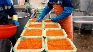 Колпаковский Рыбокомбинат
