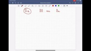 Первый закон Менделя!!!