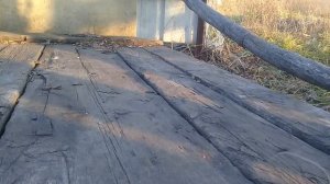 как сделать ловушку на фазана.