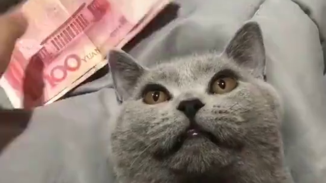 Влияние денег)))) смотреть онлайн