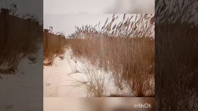Scuba tector Экстримальные условия