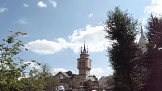 водоплавающие птицы московский зоологический парк