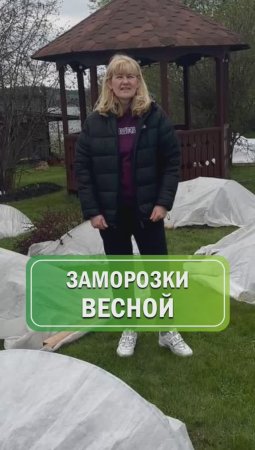 Заморозки весной ! Как защитить наши растения ? 🌱 #питомникросток #питомникрастений #саженцы