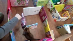 Лабиринт для кошек из книг ??