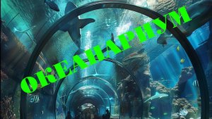 Океанариум