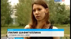 живодеры