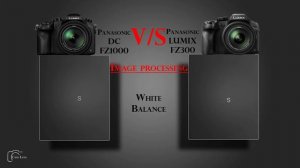 Panasonic Lumix DC FZ1000 vs Panasonic LUMIX FZ300