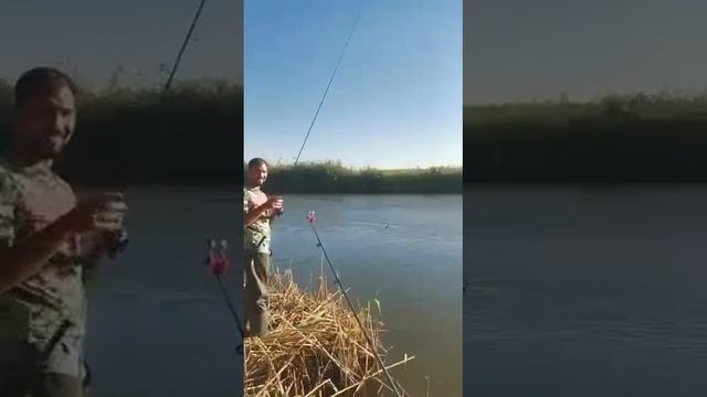 Особенности национальной рыбалки в Ростовской области.MP4 смотреть онлайн