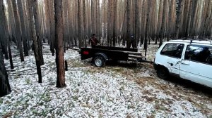 Заготовка валежника ,  своими силами .