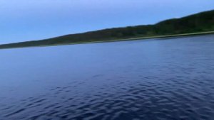 Первое видео с рыбалки) Рыбалка ? на рыбинском водохранилище