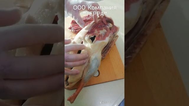 Нарезка вяленого гуся