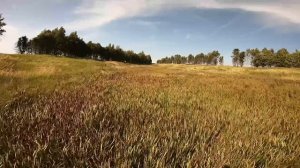 Просторы вблизи автодороги М4 Дон (п.Матвеевка FPV съёмка лето 2021).webm