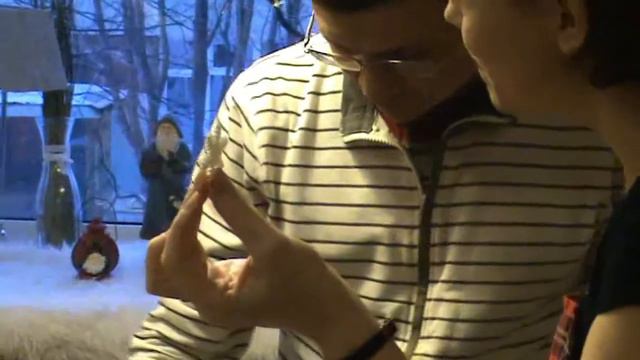 Сладкие каникулы смотреть онлайн