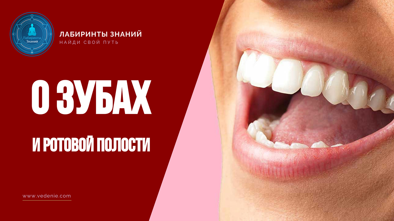 О зубах и ротовой полости - Лабиринты Знаний