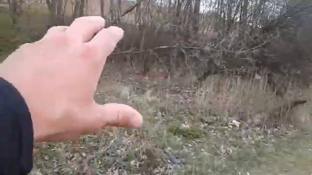 Очистка реки Алёшинка, благоустройство прибрежной территории | Runpatrol