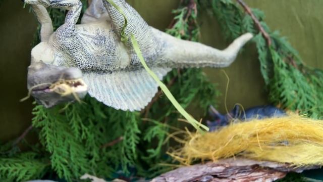 БЕЗСЕРДЕЧНыЙ ДИНОЗАВР!!! Мультики. Для детей. Игрушки смотреть онлайн