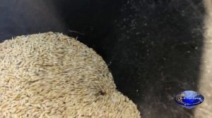 Зернодробилка своими руками