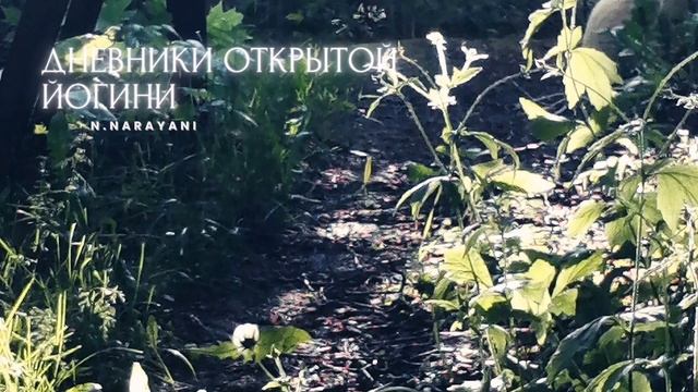 05.опытный эксперимент. свои грабли. работа над ошибками #дневник_йогини смотреть онлайн