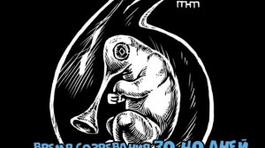 Гомункул  Вся правда о гомункуле  Что это или кто это