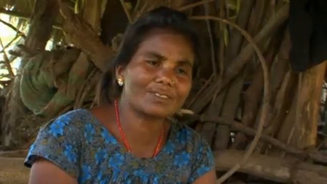 World Challenge 2011 Finalists - HERBAL REMEDY смотреть онлайн