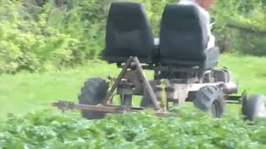 КАРТОФЕЛЬ 2022 ОТ ПОСАДКИ И ДО КОПКИ