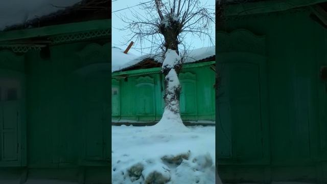 #Крыша едет