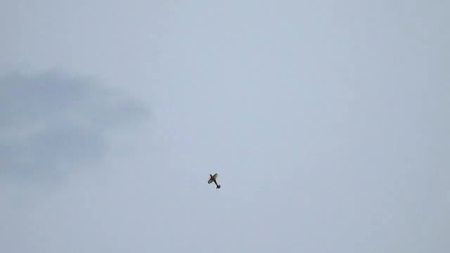 Раменская пойма 04.05.2014 смотреть онлайн