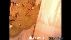 Фазазда 6 или французский сэс l RYTP