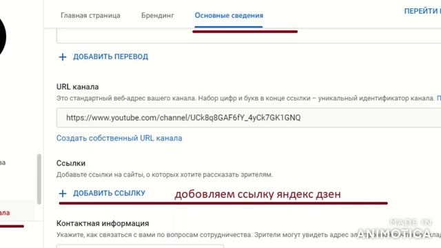 перенос роликов с ютюба на яндекс дзен смотреть онлайн