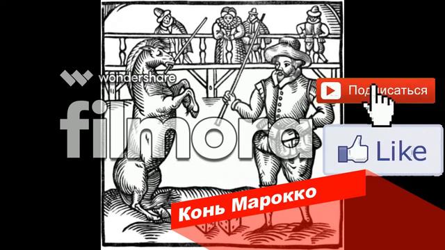 Топ 5 известных животных в мире || Top 5 famous animals in the world🐴🐱🐦🐶 смотреть онлайн