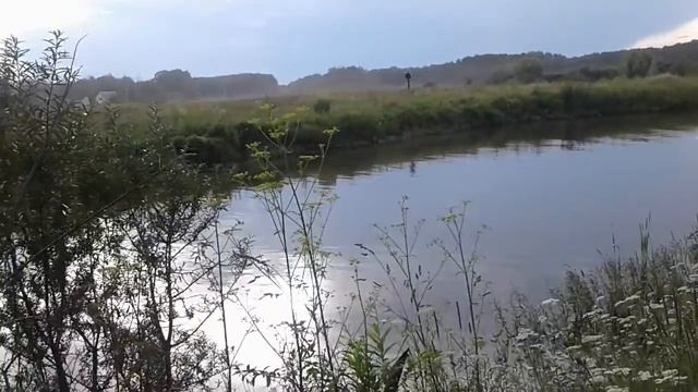 ❤ПОЙДЕМТЕ СО МНОЙ ИСКАТЬ ❤МАСЛЯТА❤ НА МОЕМ ПОЛУОСТРОВКЕ❤ смотреть онлайн